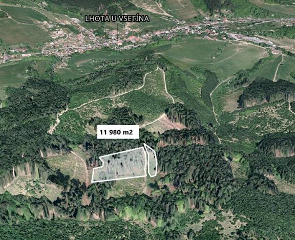 Prodej lesa, Lhota u Vsetína, 11980 m2