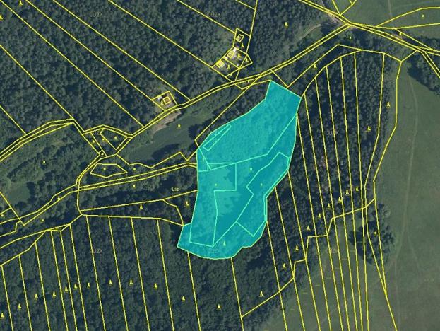 Prodej podílu pozemku pro komerční výstavbu, Vlachovice, 2290 m2