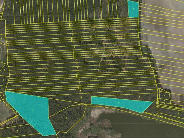 Prodej podílu lesa, Lužnice, 998 m2
