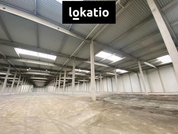 Pronájem skladu, Ostrava, 14247 m2