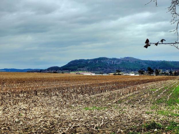 Prodej zemědělské půdy, Mnichovo Hradiště - Sychrov, 140145 m2