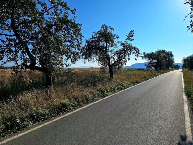Prodej zemědělské půdy, Mnichovo Hradiště - Sychrov, 140145 m2