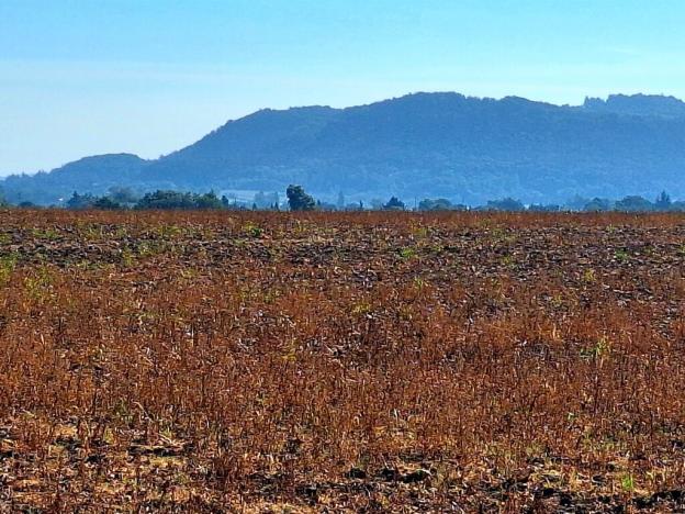 Prodej zemědělské půdy, Mnichovo Hradiště - Sychrov, 140145 m2
