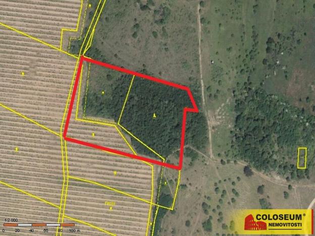 Prodej pozemku, Znojmo - Oblekovice, 16843 m2