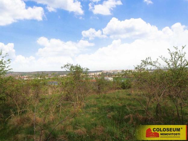 Prodej pozemku, Znojmo - Oblekovice, 16843 m2