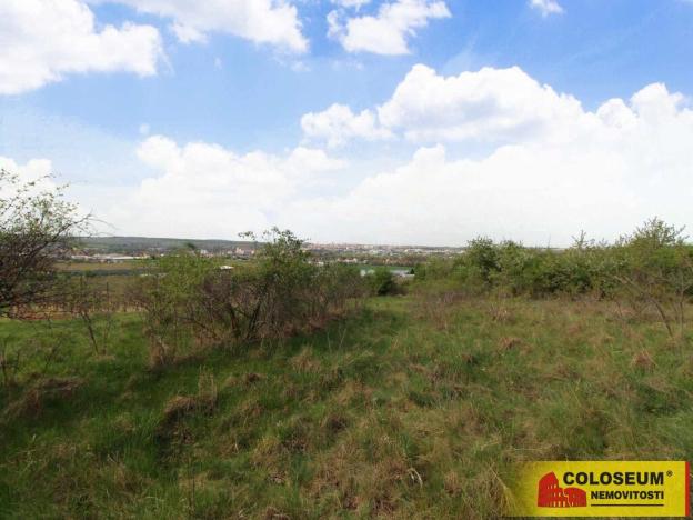 Prodej pozemku, Znojmo - Oblekovice, 16843 m2