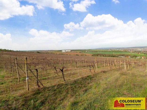 Prodej pozemku, Znojmo - Oblekovice, 16843 m2