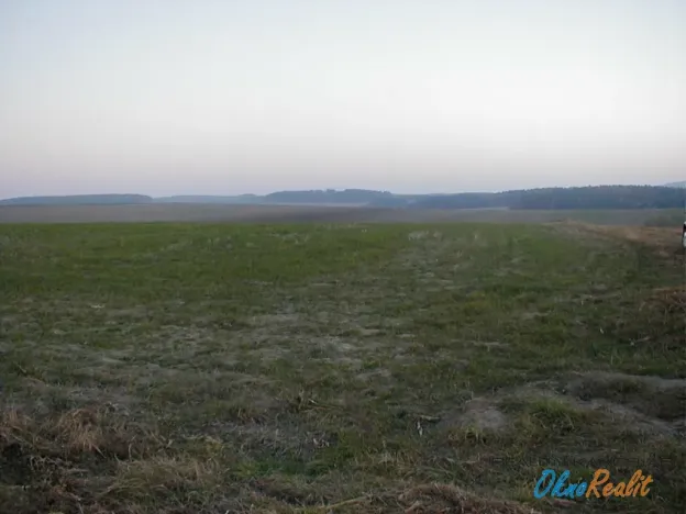 Prodej zemědělské půdy, Mutějovice, 2073 m2