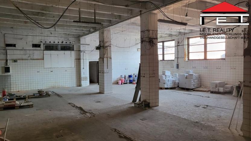 Prodej skladu, Orlová - Poruba, Těšínská, 7797 m2