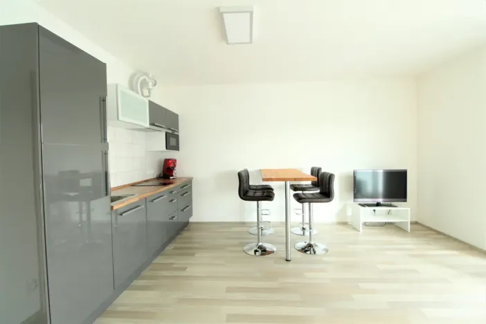 Pronájem bytu 1+kk, Plzeň - Černice, Štefánikova, 36 m2