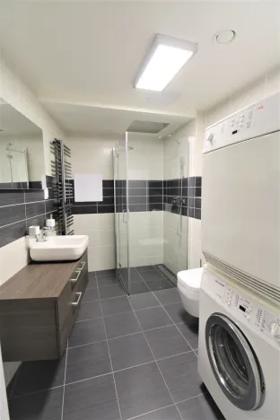 Pronájem bytu 1+kk, Plzeň - Černice, Štefánikova, 36 m2