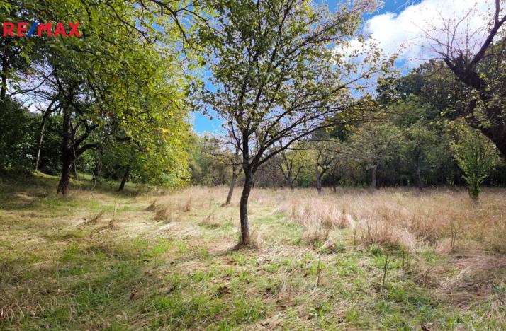 Prodej pozemku pro bydlení, Březnice, 2661 m2