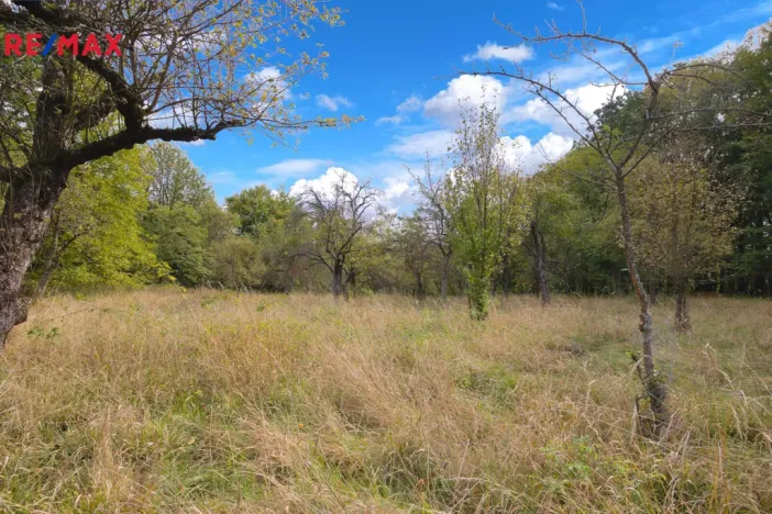Prodej pozemku pro bydlení, Březnice, 2661 m2