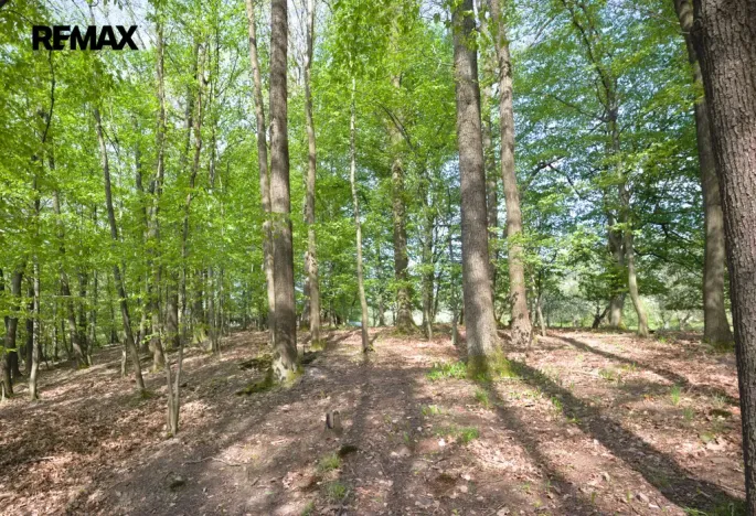 Prodej pozemku pro bydlení, Březnice, 2661 m2