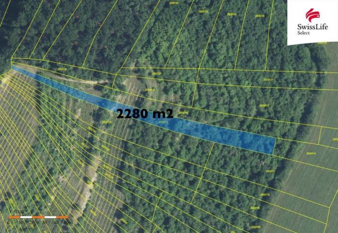 Prodej pozemku pro komerční výstavbu, Brumovice, 3394 m2