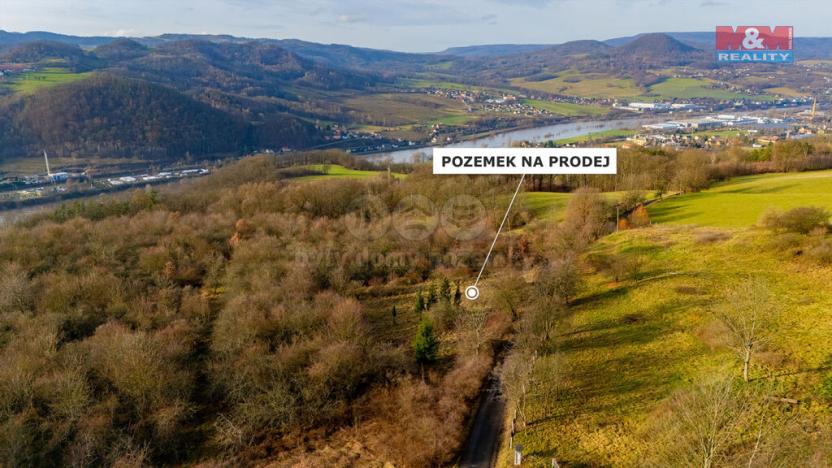 Prodej zemědělské půdy, Děčín - Děčín XXIX-Hoštice nad Labem, 3000 m2