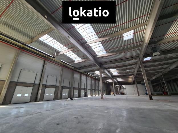 Pronájem skladu, Cheb, Průmyslový park, 6662 m2