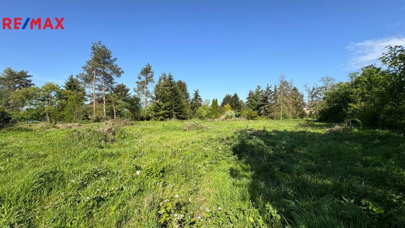 Prodej zemědělské usedlosti, Uničov - Renoty, 186 m2