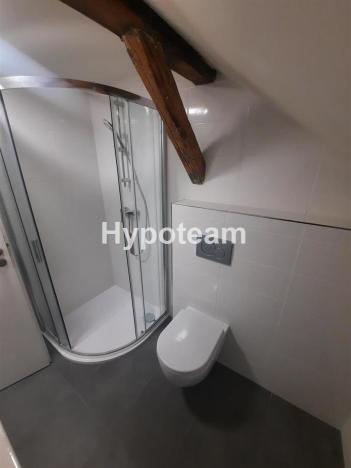 Pronájem bytu 2+kk, Ústí nad Labem - Klíše, Masarykova, 50 m2