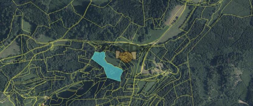 Prodej lesa, Hovězí, 11626 m2