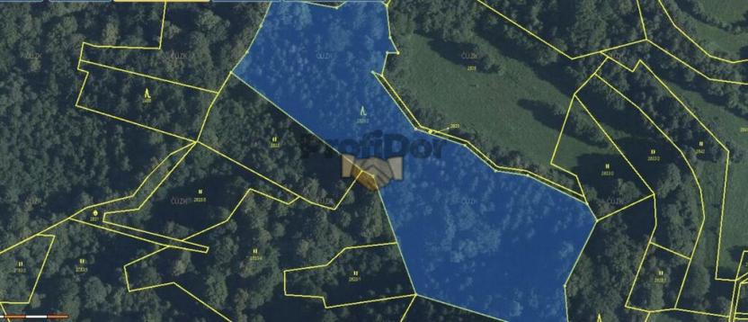 Prodej lesa, Hovězí, 11626 m2