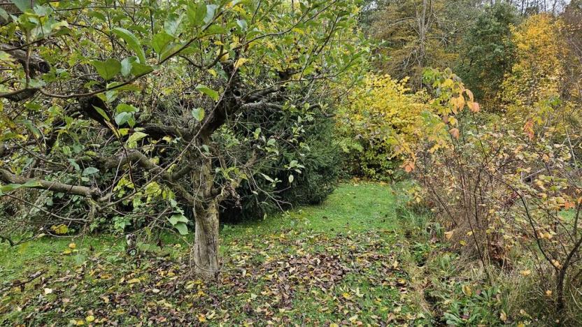 Prodej chaty, Děčín - Děčín XXVIII-Folknáře, 621 m2