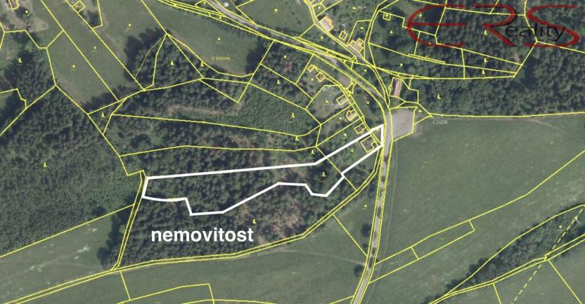 Prodej rodinného domu, Zásada, 200 m2