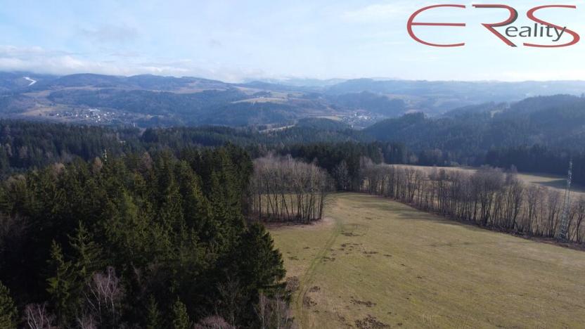 Prodej rodinného domu, Zásada, 200 m2