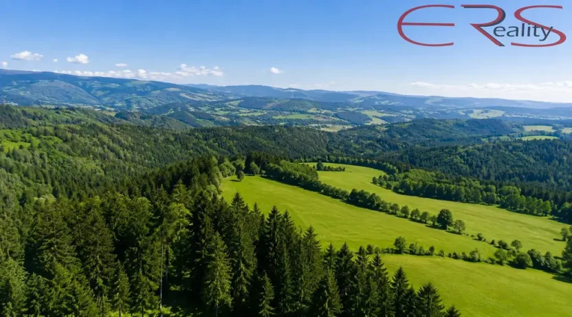 Prodej rodinného domu, Zásada, 200 m2