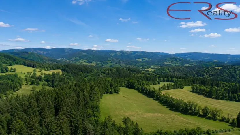 Prodej rodinného domu, Zásada, 200 m2