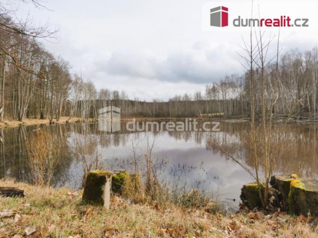 Prodej rybníku, Pomezí nad Ohří, 3974 m2
