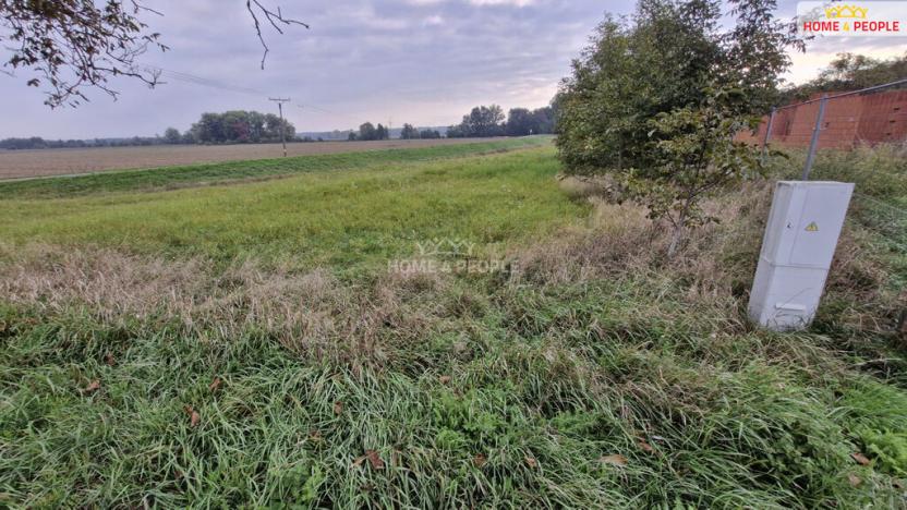 Prodej pozemku pro bydlení, Cvrčovice, 2765 m2