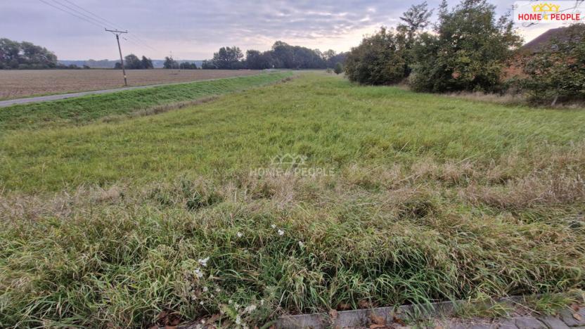 Prodej pozemku pro bydlení, Cvrčovice, 2765 m2