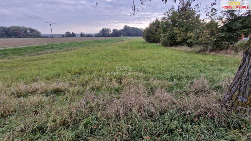 Prodej pozemku pro bydlení, Cvrčovice, 2765 m2