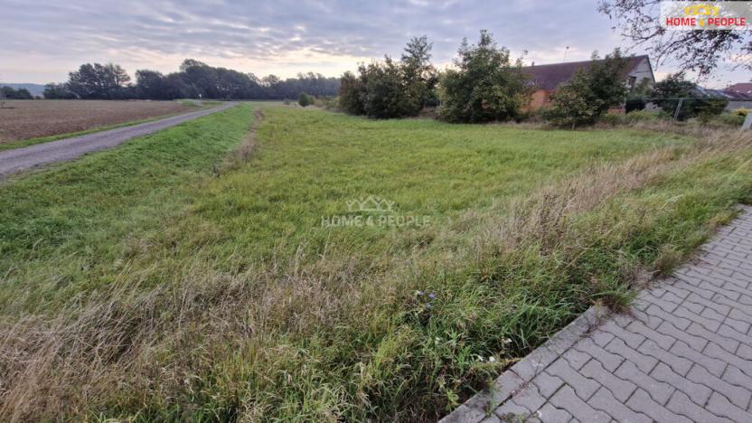 Prodej pozemku pro bydlení, Cvrčovice, 2765 m2