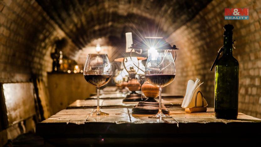 Prodej restaurace, Ostrava - Slezská Ostrava, Dědičná, 613 m2