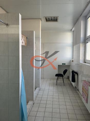 Pronájem komerční nemovitosti, Rožnov pod Radhoštěm, Tvarůžkova, 486 m2