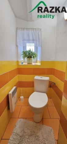 Prodej rodinného domu, Bor - Ostrov, Ostrov, 159 m2