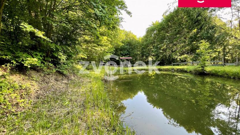 Prodej rybníku, Prlov, 7474 m2