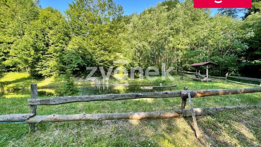Prodej rybníku, Prlov, 7474 m2