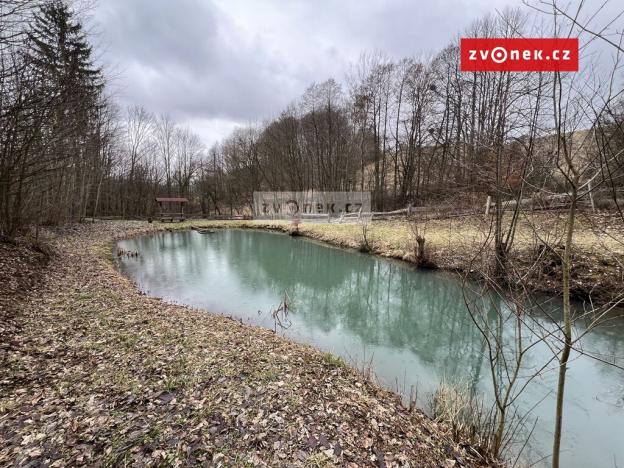 Prodej rybníku, Prlov, 7474 m2