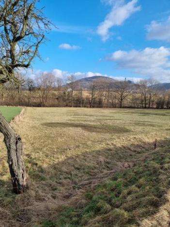 Pronájem zahrady, Štramberk, 800 m2