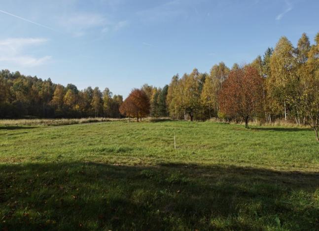 Prodej vícegeneračního domu, Stráž pod Ralskem, 500 m2