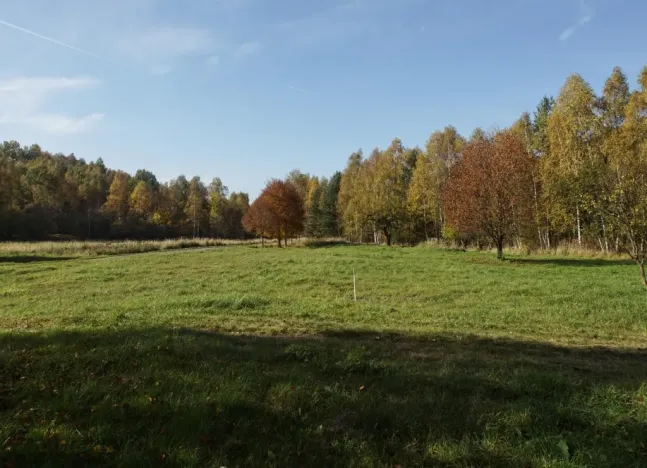 Prodej vícegeneračního domu, Stráž pod Ralskem, 500 m2