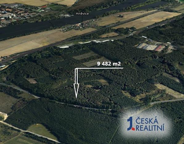 Prodej lesa, Štětí, 9482 m2