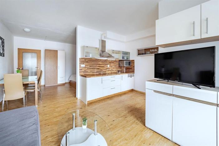 Prodej bytu 1+kk, Lipno nad Vltavou, 41 m2