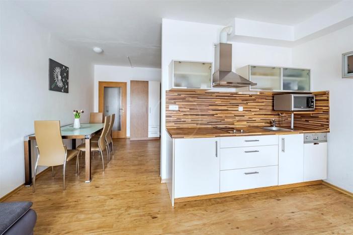 Prodej bytu 1+kk, Lipno nad Vltavou, 41 m2