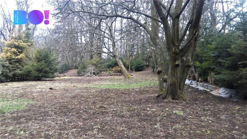 Prodej zahrady, Bystřice pod Hostýnem, Hostýnská, 1010 m2