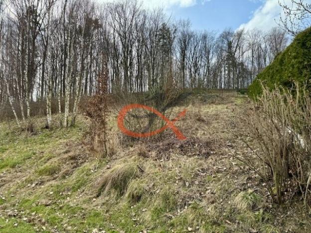 Prodej pozemku pro bydlení, Rožnov pod Radhoštěm, 1467 m2