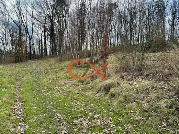 Prodej pozemku pro bydlení, Rožnov pod Radhoštěm, 1467 m2